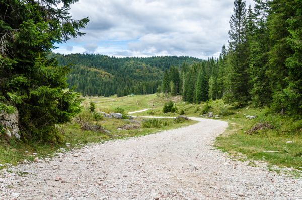 Cost of Gravel Road Grading in Spokane