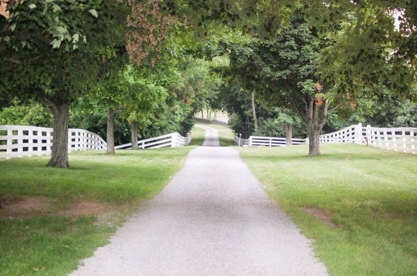 Cost of Gravel Road Installation in Spokane